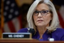 liz cheney net worth