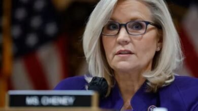 liz cheney net worth