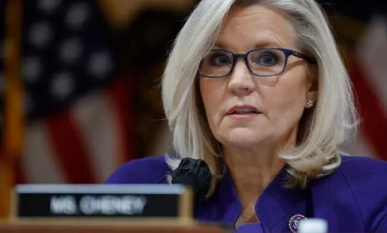 liz cheney net worth